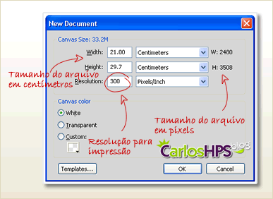 Como Criar uma Capa de Revista com o Fireworks CS5 Fig01-documento-config1