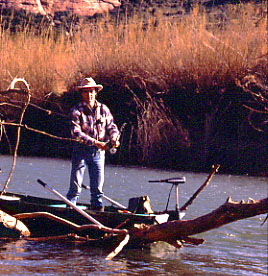 Le brochet Brochet_branches