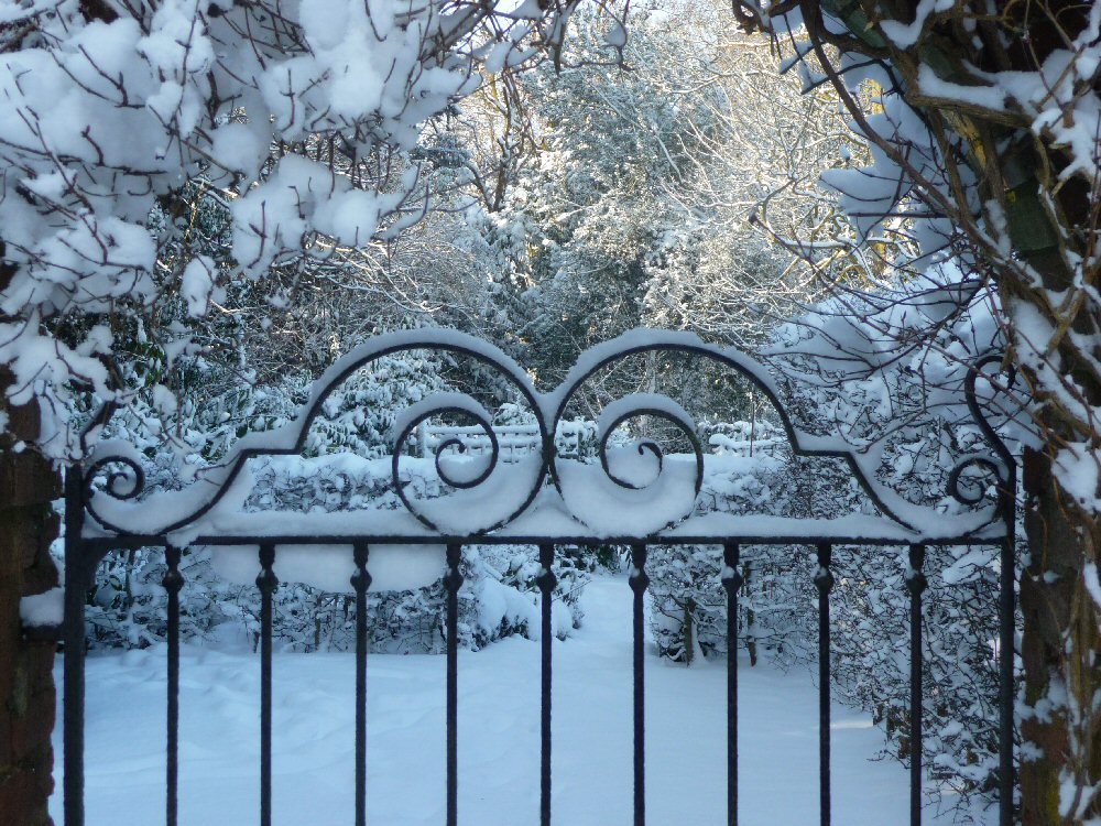 Front Garden  Garden_winter