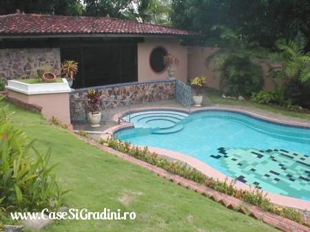 Roxy's home Piscina-mozaic