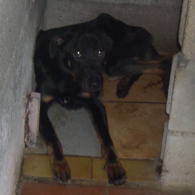 60  BEAUCERON X ?  hyper URGENT 060915053457110393