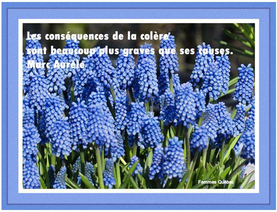 Pense du jour en image 0704190816192505492305