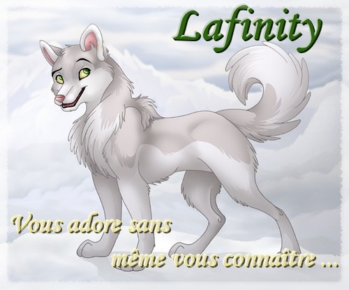 Lafinity 070803031215949343