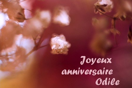 BON ANNIVERSAIRE ODILE ! 0710091041361367088