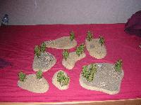 [Tutorial] Des arbres pour vraiment pas cher Mini_0704240608175945506283