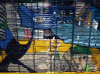 cage pour 2 ou 3 rats Mini_0706171238105470714608