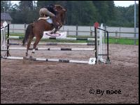 cheval-SAUT {+0,3} Mini_070808122034975030