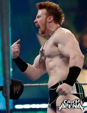 sheamus créé un impact Sheamus-sheamus010-1250865130