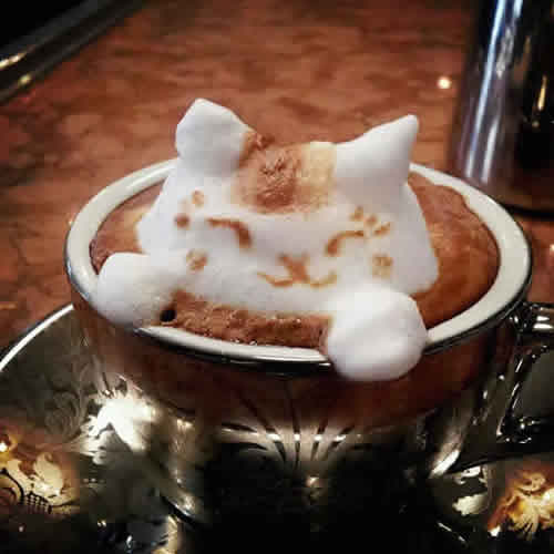 CAFETERÍA para todos - Página 9 Latte_art_cat_in_coffee_3