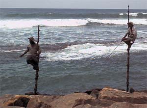 صيد الأسماك على "ركائز" Stiltfishermen