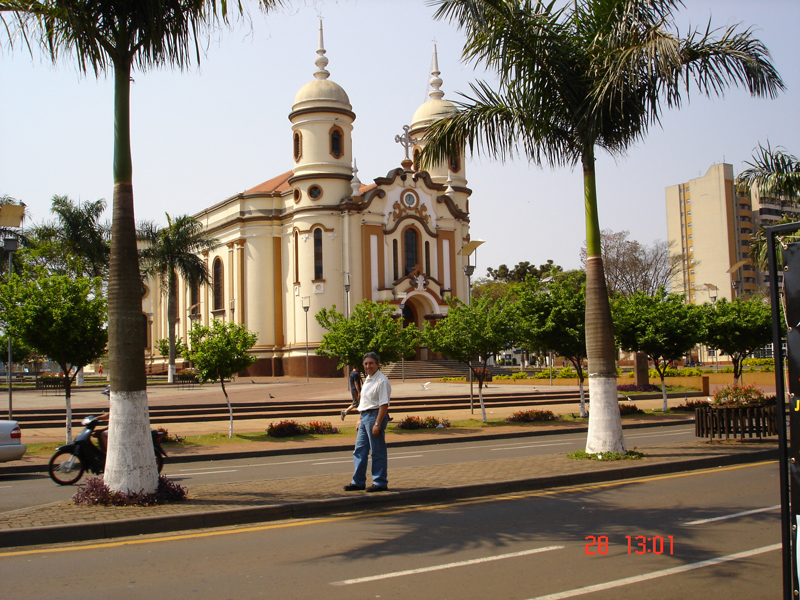 Arapongas: A Cidade Dos Pássaros Ercilio_arapongas