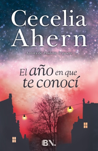 El año en que te conocí - Cecelia Ahern Ela%C3%B1oenqueteconociG