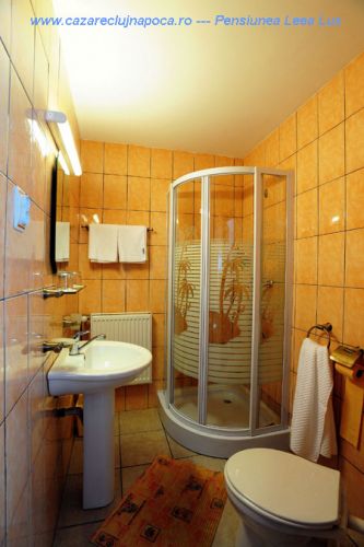 *Colucci apartament* Baie_pensiunea_leea_lux_cluj_11