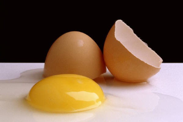 Egg البيض J0177963