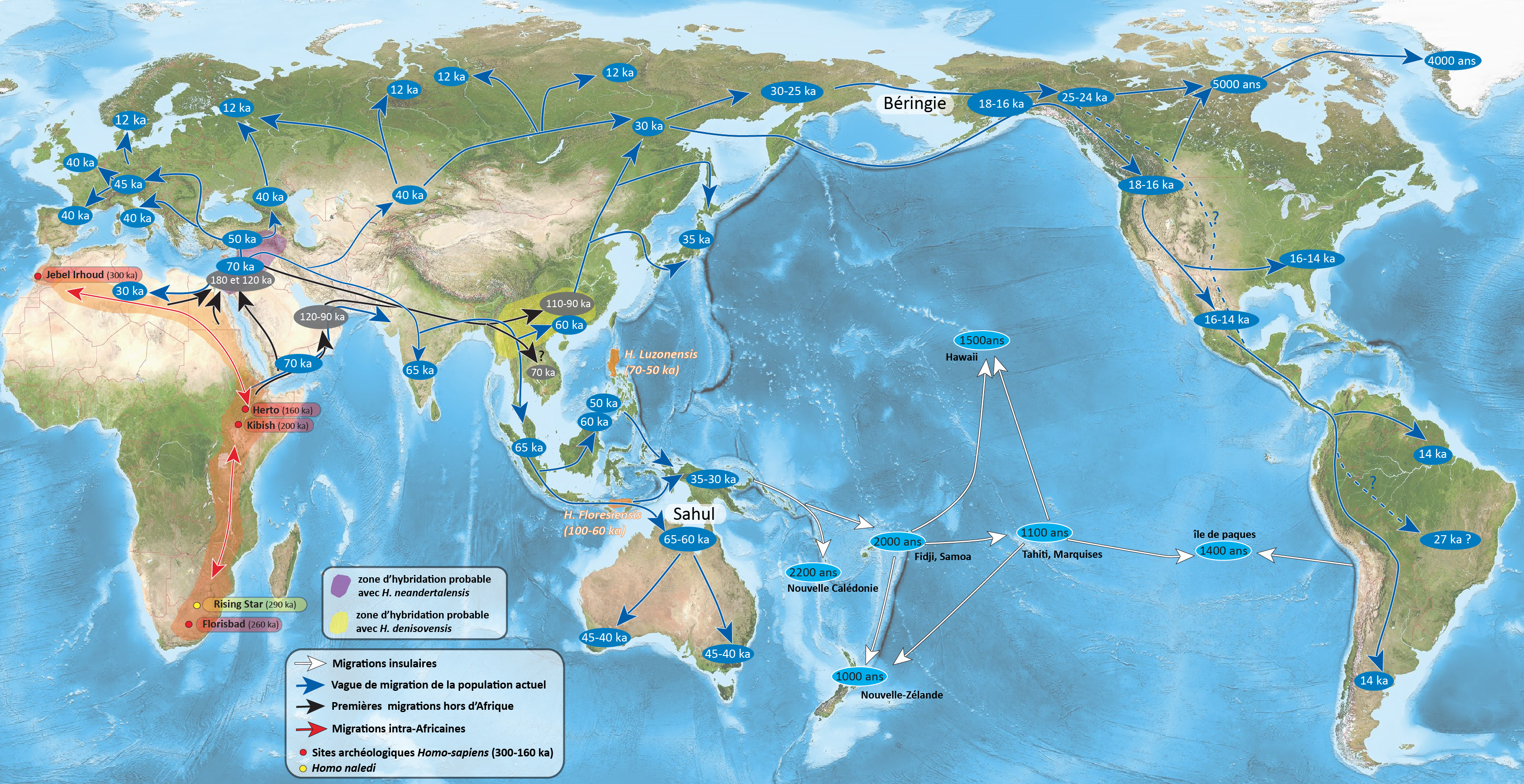 Afrique de l'est : berceau unique de l'humanité ? Migrations-homo-sapiens_original