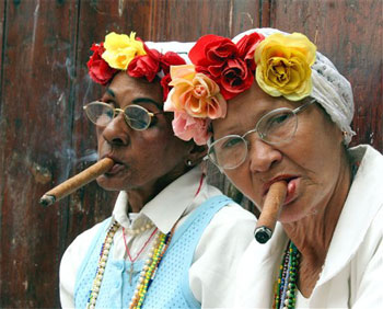 plantes gazonnantes Cuba_cigar_350