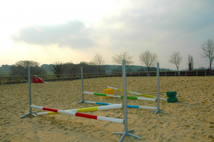 Petite séance d'obstacle, découverte et redécouverte (RP avec Pryam) Obstacle-equestre-baden-700x465