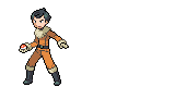 Sprites pokemon 106