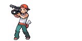 Sprites pokemon 166