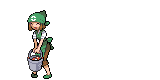 Sprites pokemon 34