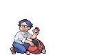 Sprites pokemon 74