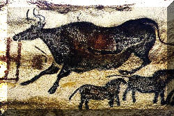 MISTERI DEL MONDO GRAFFITI...... Lascaux1_small