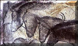 MISTERI DEL MONDO GRAFFITI...... Lascaux4_small