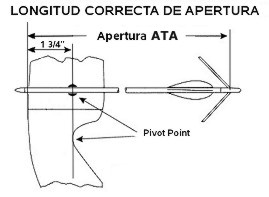 Apertura para un varon de 1,80 Apertura