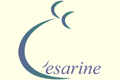 ** CESARINE EN LIGNE (site à propos de la césarienne) ** Logo_80