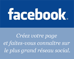 bienvenu a tous - Page 4 Pub-Slide-Facebook-chambresdhotes-conseils