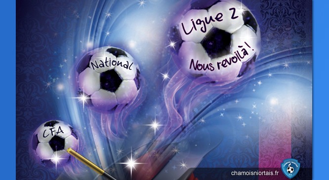 Site officiel Chamois Niortais FC - Page 9 Devenir-partenaire-666x365