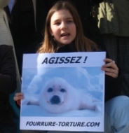 Fourrure Torture s’insurge contre le nouveau quota de 2010 pour la chasse aux phoques au Canada Manifestation-canada-paris