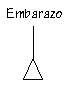 Elabora tu genograma Embarazo