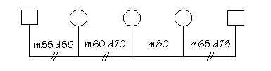 Elabora tu genograma Matcomplex