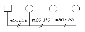 Elabora tu genograma Matmultiple