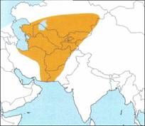 Fiche d'élevage: Agrionemys horsfieldii Zone