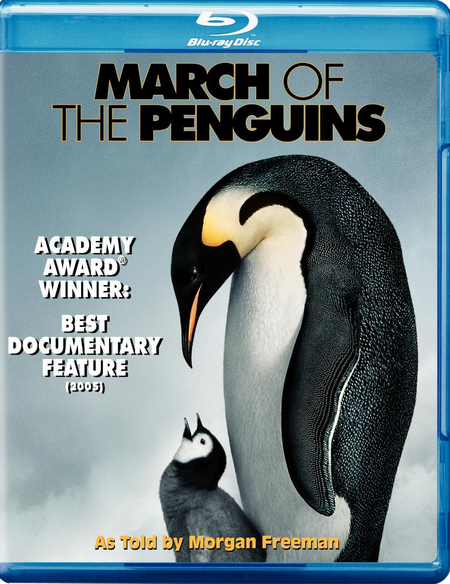  :: الوثائقي الشيق والرائع March of The Penguins مُترجم بجودة 720p BluRay على اكثر من سيرفر  C4ec8386f9aa9