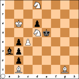 PROBLEM N°O2O4 By Dr. Adolf Kraemer 11ewiqwxso5j