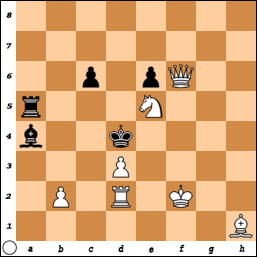 PROBLEM N°O319 By G. W. Chandler 2g3iv393acu8s