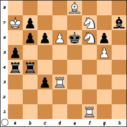 PROBLEM N°OO19 By V. Pachman et Dr. Eric Zepler 2h1xos0v6zqcc