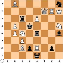 PROBLEM N°1243 By Petrus Overkamp 302li1x93sw00