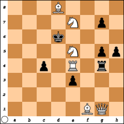 PROBLEM N°O291 By C. Kainer 3q5nri5g8bau