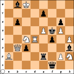 SAMMELIUS - PROBLEM N°O691 By Carel Johan Robert Sammelius 4e26azy6kym0