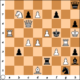 SAMMELIUS - PROBLEM N°O69O By Carel Johan Robert Sammelius 78p3sh5lc2h4