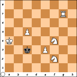 PROBLEM N°O137 By Dr. Adolf Kraemer Cd216tt0camu