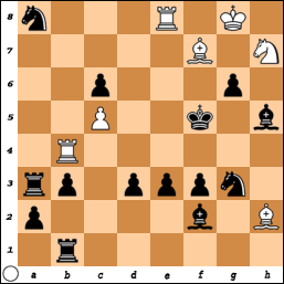 PROBLEM N°OO49 By Herbert Grasemann Jdkmtt2d461x