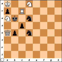 PROBLEM N°O558 By R. Rupp Pb1691sie4w