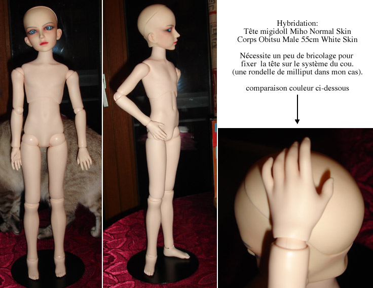 Comparatifs corps entre bjd : images et liens (galerie) - Page 2 Tial03