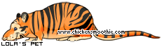 Chicken Smoothie Fan Club 403350