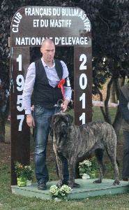 Résultats NE Mastiff 4936bb7e-671e-b0d4-99bd-5079aef76a37